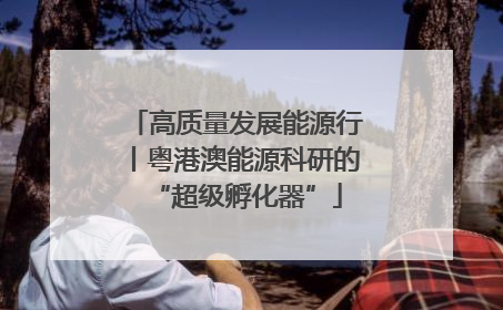 高质量发展能源行丨粤港澳能源科研的“超级孵化器”