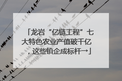 龙岩“亿链工程”七大特色农业产值破千亿，这些镇企成标杆→