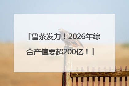 鲁茶发力！2026年综合产值要超200亿！