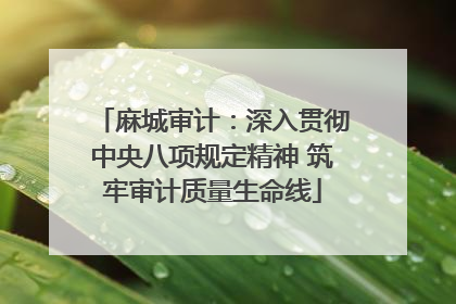 麻城审计：深入贯彻中央八项规定精神 筑牢审计质量生命线