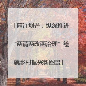 麻江坝芒：纵深推进“两清两改两治理”绘就乡村振兴新图景