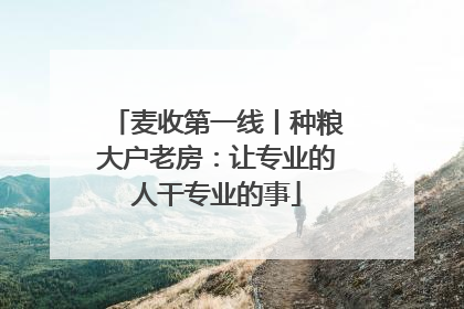 麦收第一线丨种粮大户老房：让专业的人干专业的事