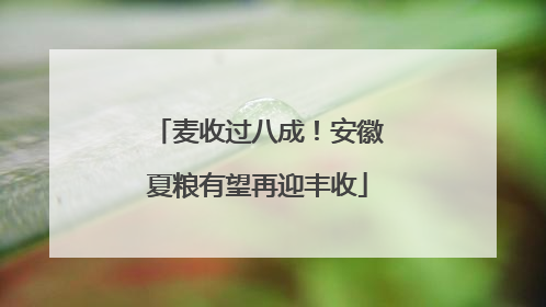 麦收过八成！安徽夏粮有望再迎丰收