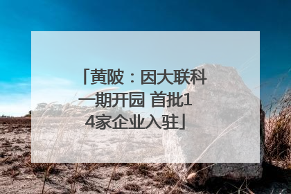 黄陂：因大联科一期开园 首批14家企业入驻