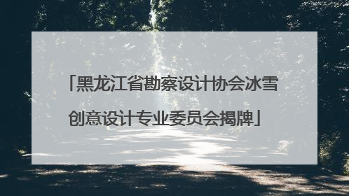 黑龙江省勘察设计协会冰雪创意设计专业委员会揭牌