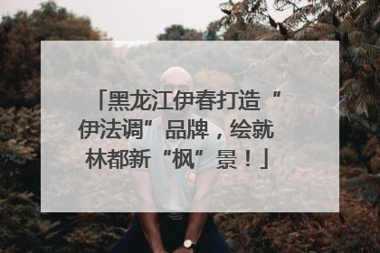 黑龙江伊春打造“伊法调”品牌，绘就林都新“枫”景！