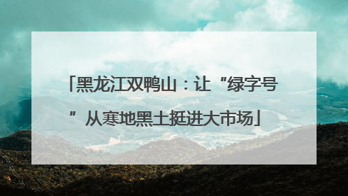 黑龙江双鸭山：让“绿字号”从寒地黑土挺进大市场