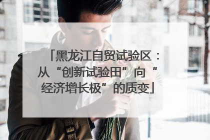 黑龙江自贸试验区：从“创新试验田”向“经济增长极”的质变