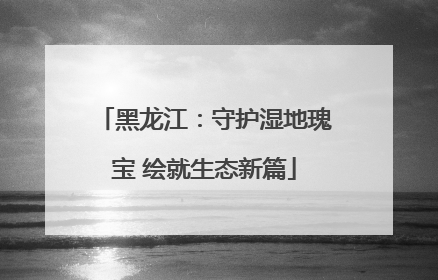 黑龙江：守护湿地瑰宝 绘就生态新篇