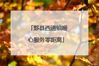黟县西递镇暖心服务零距离