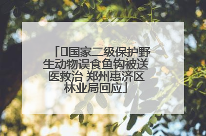 ﻿国家二级保护野生动物误食鱼钩被送医救治 郑州惠济区林业局回应