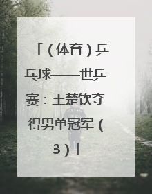 （体育）乒乓球——世乒赛：王楚钦夺得男单冠军（3）