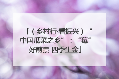 （乡村行·看振兴）“中国瓜菜之乡”：“莓”好前景 四季生金