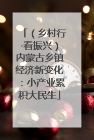 （乡村行·看振兴）内蒙古乡镇经济新变化：小产业累积大民生