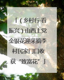 （乡村行·看振兴）山西上党金银花迎采摘季 村民家门口收获“致富花”