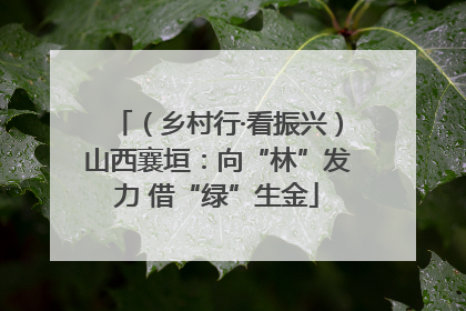 （乡村行·看振兴）山西襄垣：向“林”发力 借“绿”生金