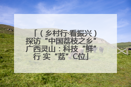 （乡村行·看振兴）探访“中国荔枝之乡”广西灵山：科技“鲜”行 实“荔”C位