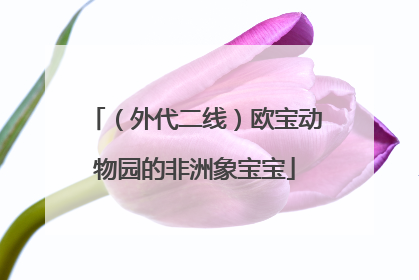 （外代二线）欧宝动物园的非洲象宝宝