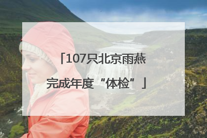 107只北京雨燕完成年度“体检”