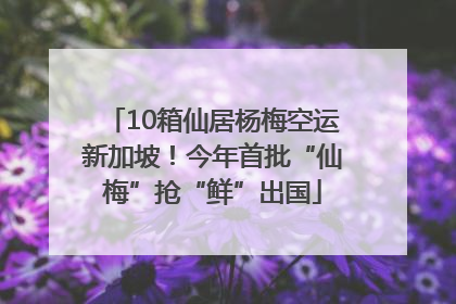 10箱仙居杨梅空运新加坡！今年首批“仙梅”抢“鲜”出国