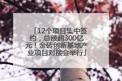 12个项目集中签约，总额超300亿元！金砖创新基地产业项目对接会举行