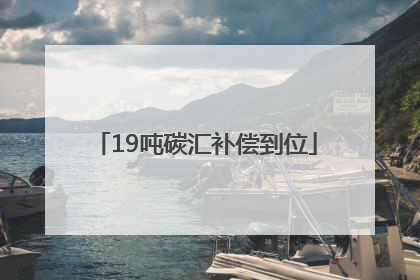 19吨碳汇补偿到位