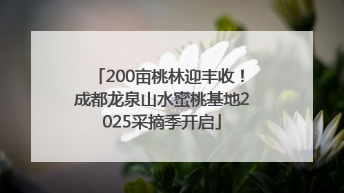 200亩桃林迎丰收！成都龙泉山水蜜桃基地2025采摘季开启