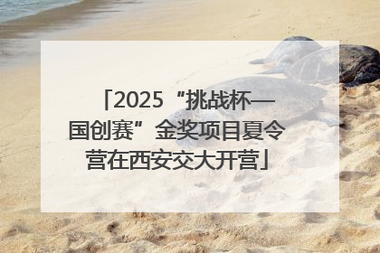 2025“挑战杯—国创赛”金奖项目夏令营在西安交大开营