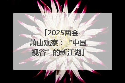 2025两会·萧山观察：“中国视谷”的新江湖