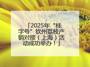 2025年“桂字号”钦州荔枝产销对接（上海）活动成功举办！