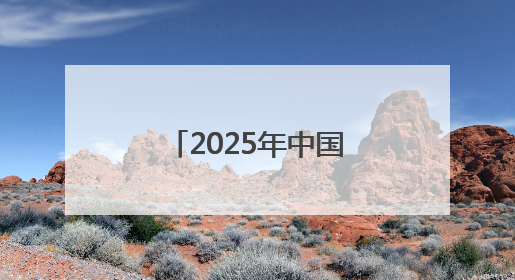 2025年中国－加州经贸论坛在洛杉矶举行