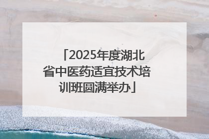 2025年度湖北省中医药适宜技术培训班圆满举办
