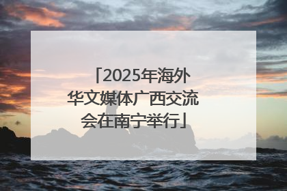2025年海外华文媒体广西交流会在南宁举行