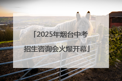 2025年烟台中考招生咨询会火爆开幕