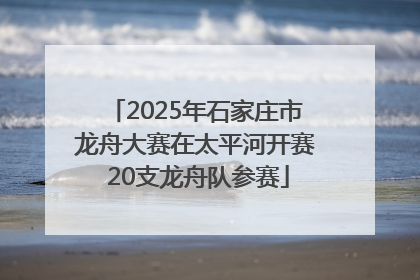 2025年石家庄市龙舟大赛在太平河开赛 20支龙舟队参赛