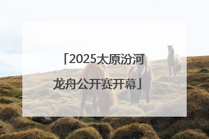 2025太原汾河龙舟公开赛开幕