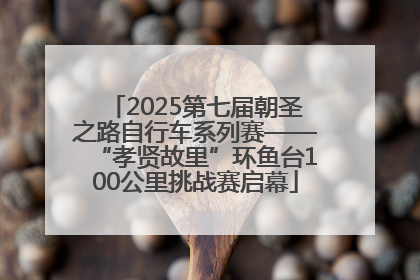 2025第七届朝圣之路自行车系列赛——“孝贤故里”环鱼台100公里挑战赛启幕