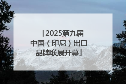 2025第九届中国（印尼）出口品牌联展开幕