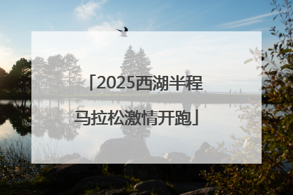 2025西湖半程马拉松激情开跑