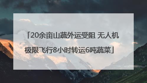 20余亩山蔬外运受阻 无人机极限飞行8小时转运6吨蔬菜