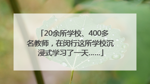 20余所学校、400多名教师，在闵行这所学校沉浸式学习了一天……