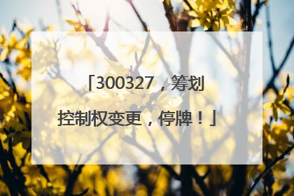 300327，筹划控制权变更，停牌！