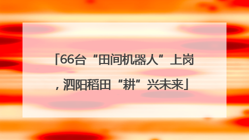 66台“田间机器人”上岗，泗阳稻田“耕”兴未来