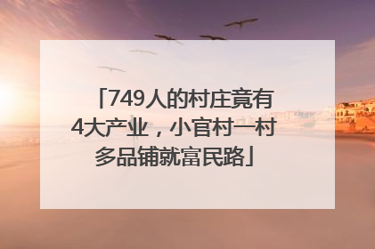 749人的村庄竟有4大产业，小官村一村多品铺就富民路