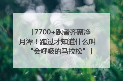7700+跑者齐聚净月潭！跑过才知道什么叫“会呼吸的马拉松”