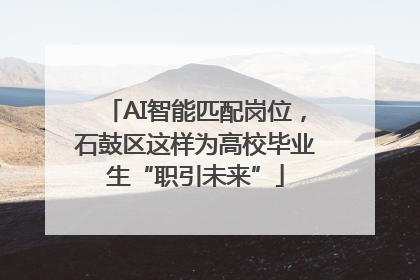 AI智能匹配岗位，石鼓区这样为高校毕业生“职引未来”