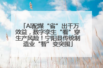 AI配煤“省”出千万效益，数字孪生“看”穿生产风险！宁阳县传统制造业“智”变突围