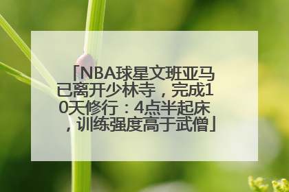NBA球星文班亚马已离开少林寺，完成10天修行：4点半起床，训练强度高于武僧